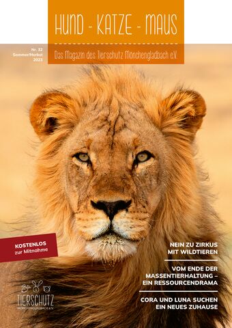Lesen Sie online die Ausgabe 2 des Jahres 2021